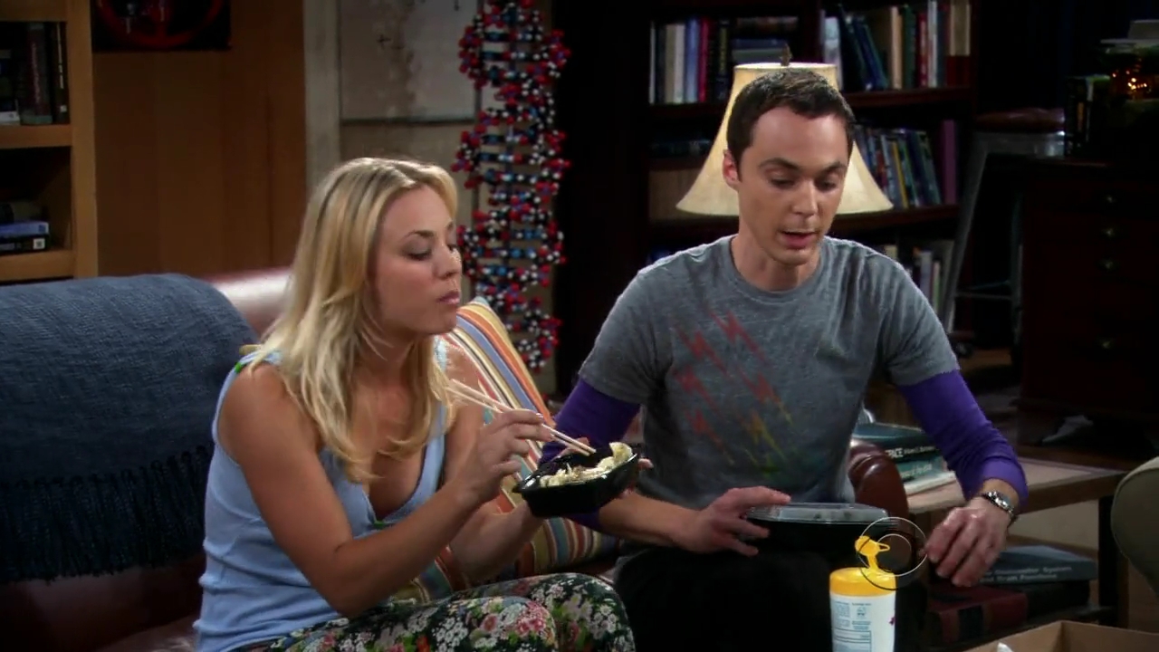Charmed-Online-dot-net_TBBT-2x04-0068.jpg