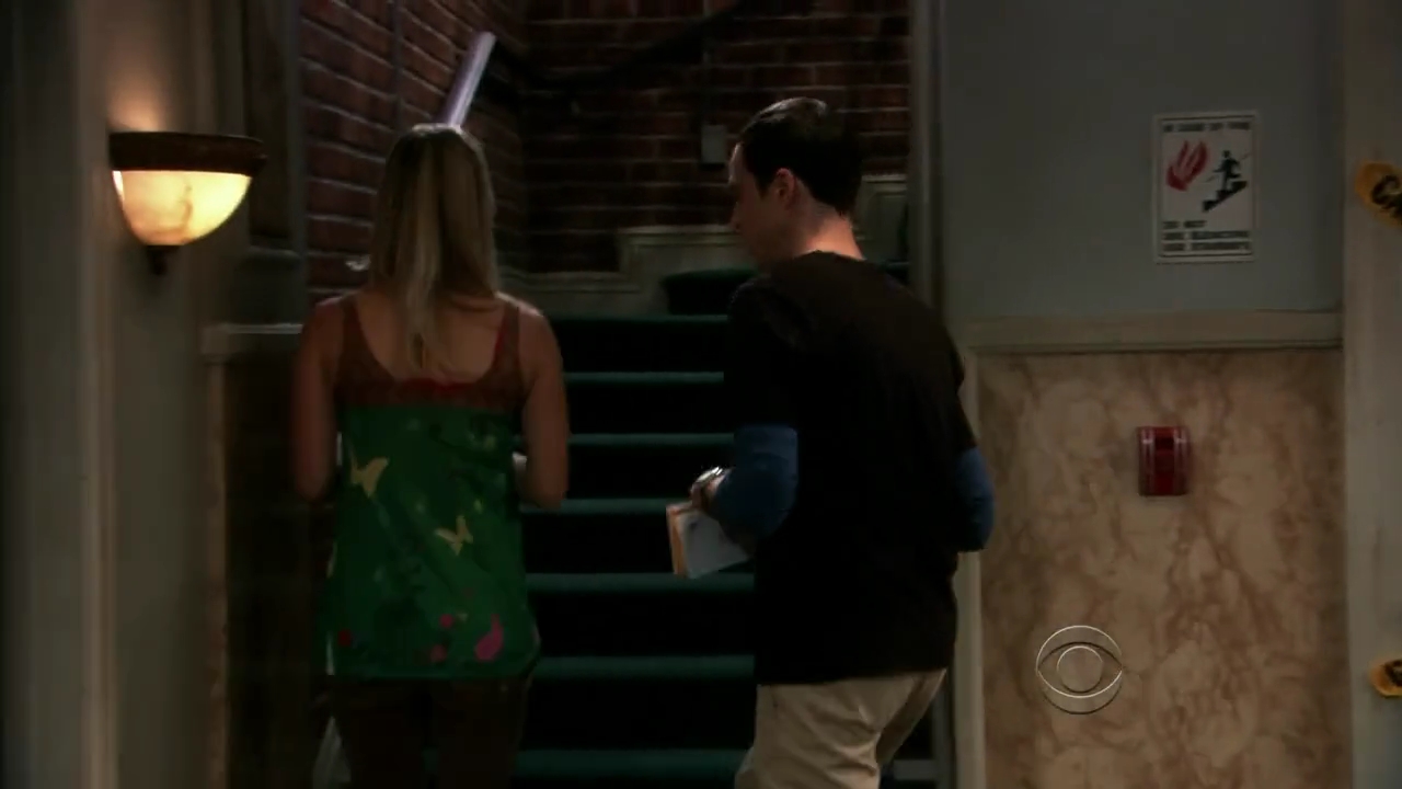 Charmed-Online-dot-net_TBBT-2x09-0037.jpg