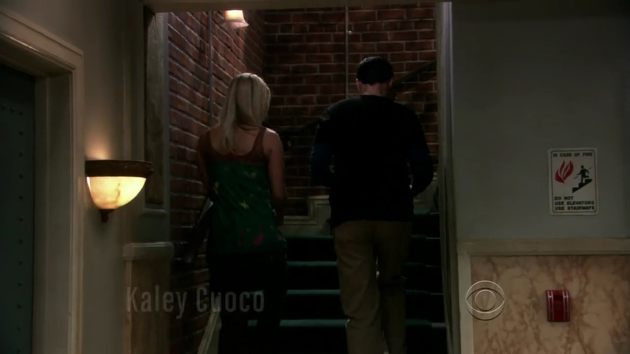Charmed-Online-dot-net_TBBT-2x09-0051.jpg