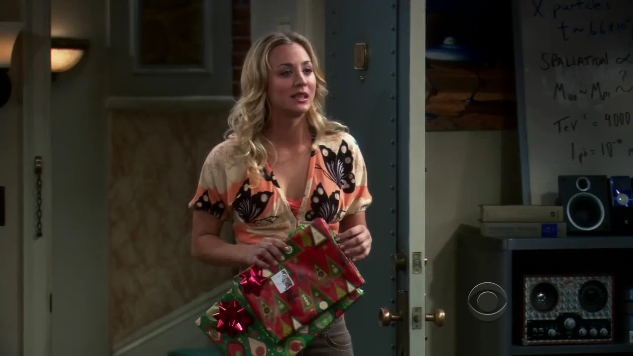 Charmed-Online-dot-net_TBBT-2x11-0176.jpg