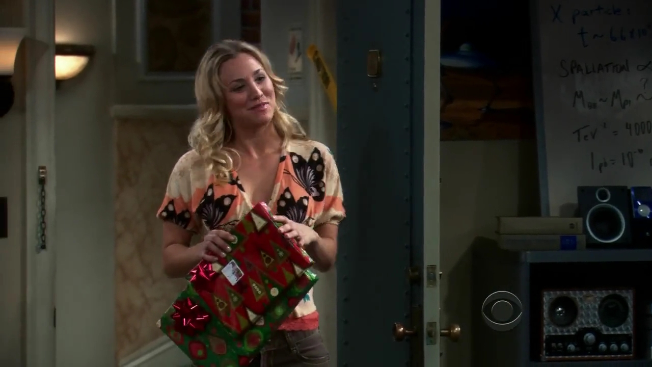 Charmed-Online-dot-net_TBBT-2x11-0212.jpg