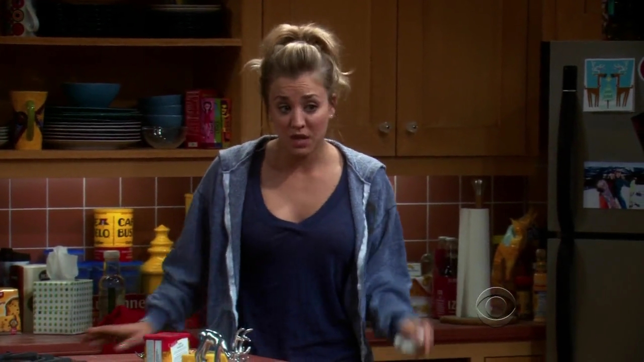 Charmed-Online-dot-net_TBBT-2x11-0613.jpg