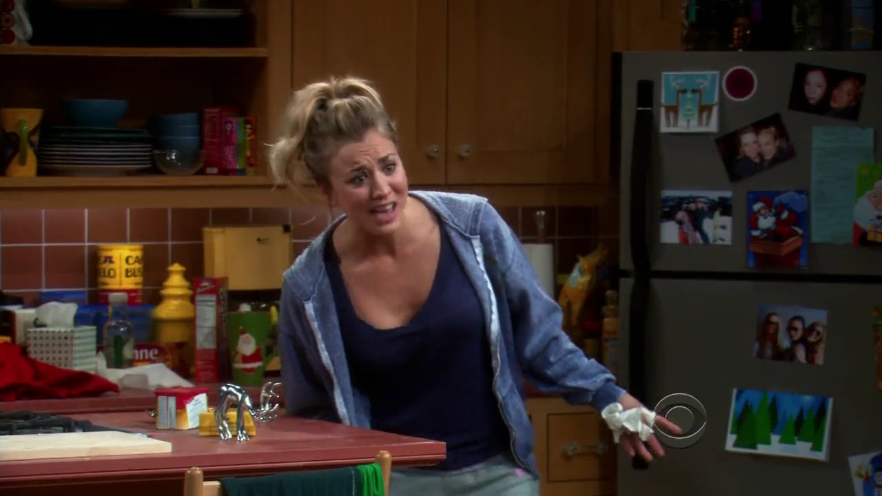 Charmed-Online-dot-net_TBBT-2x11-0627.jpg
