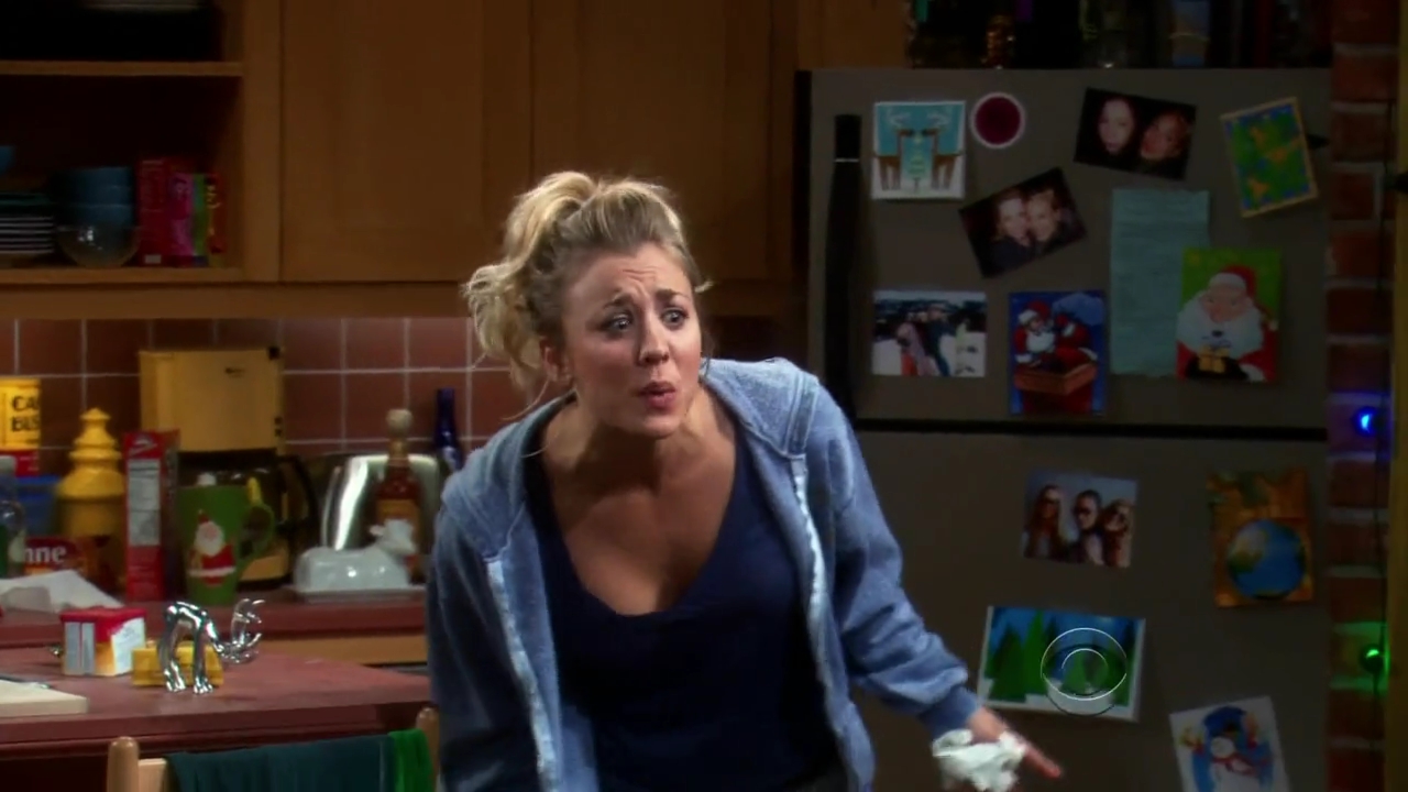 Charmed-Online-dot-net_TBBT-2x11-0628.jpg