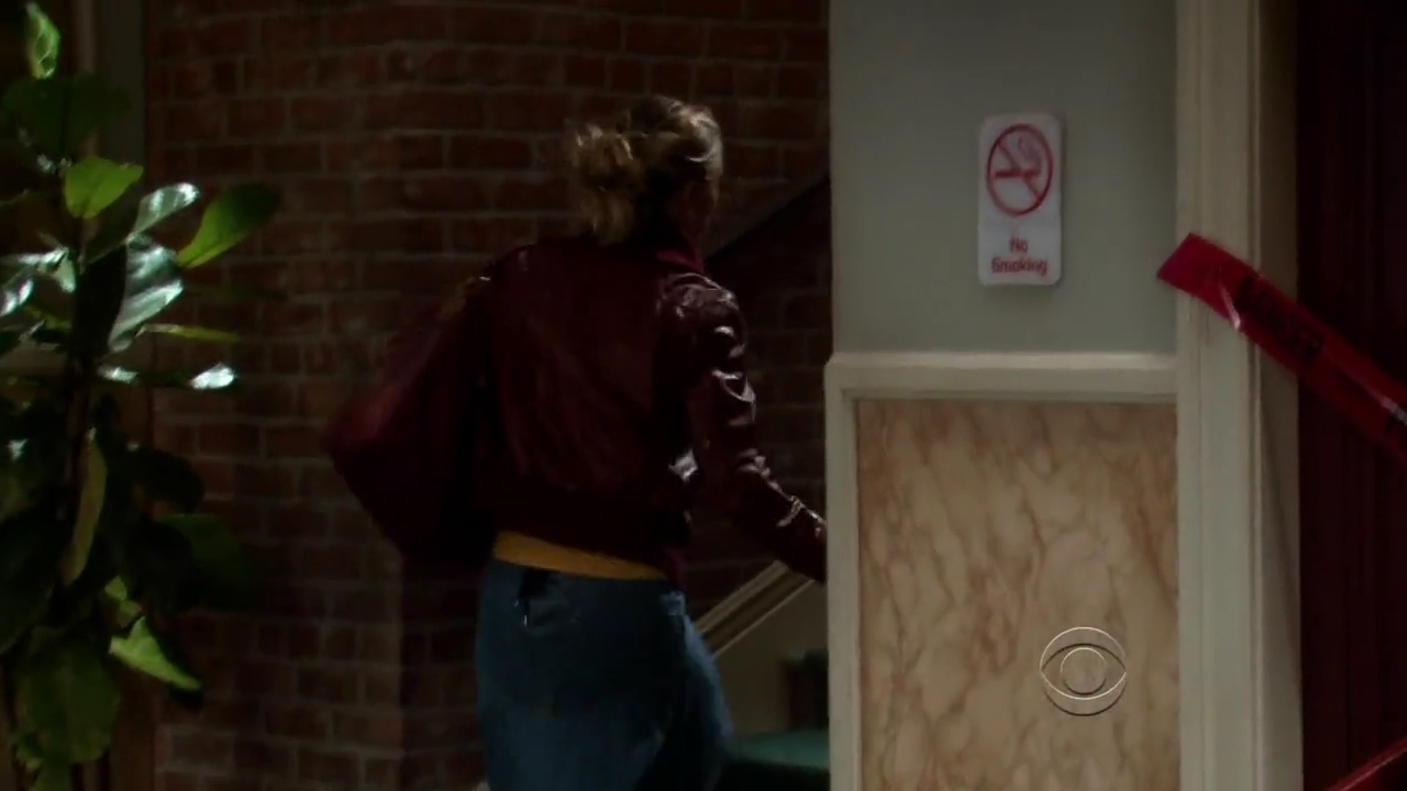 Charmed-Online-dot-net_TBBT-2x14-0323.jpg