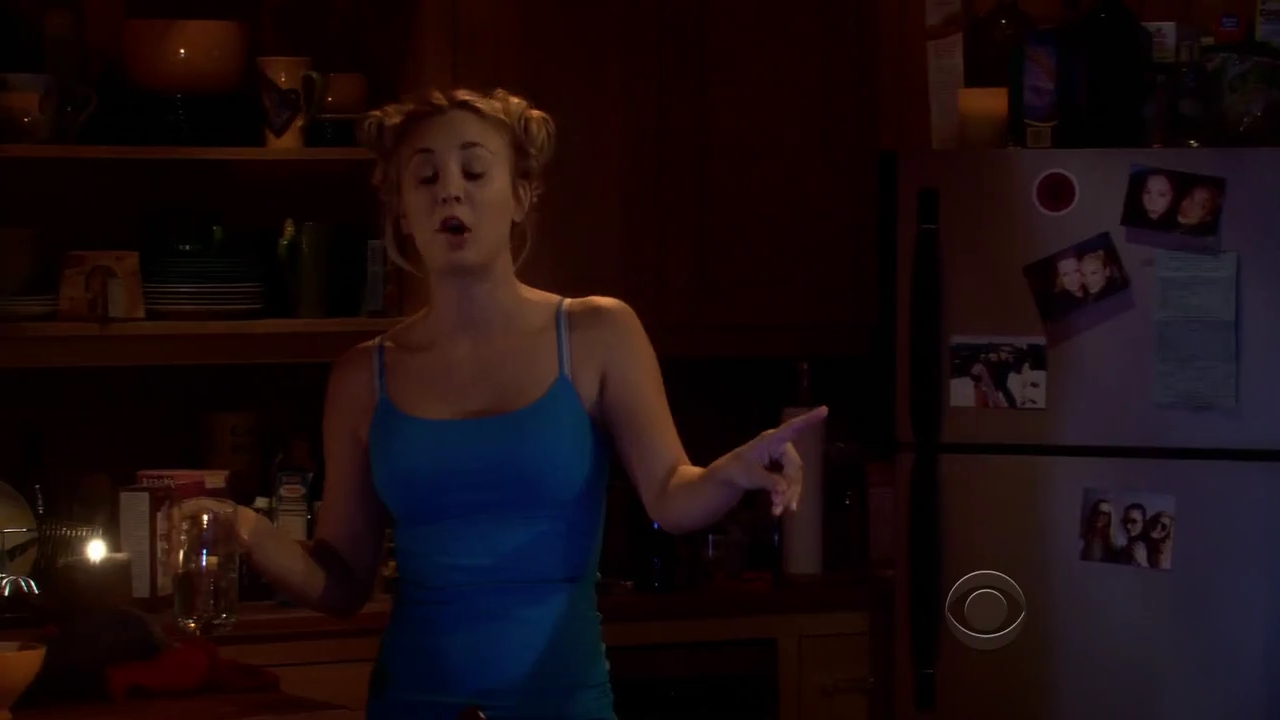 Charmed-Online-dot-net_TBBT-2x14-0511.jpg