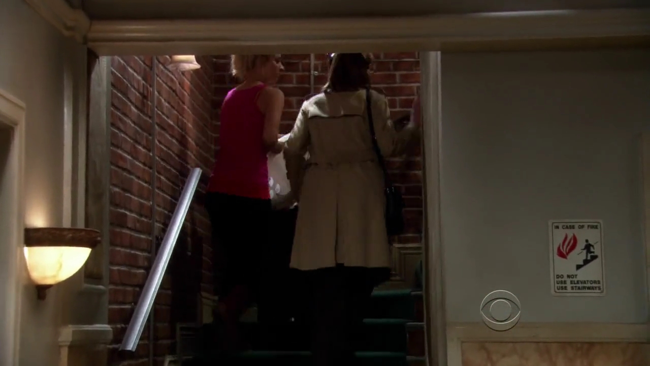 Charmed-Online-dot-net_TBBT-2x15-0217.jpg