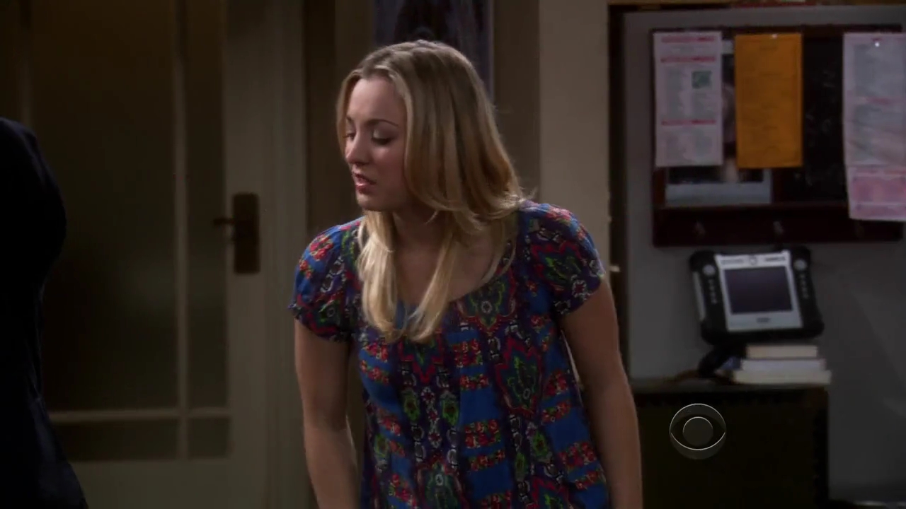 Charmed-Online-dot-net_TBBT-2x16-0235.jpg