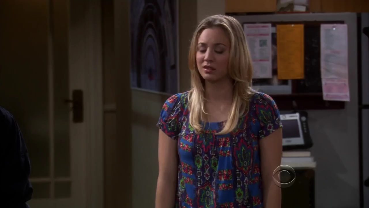 Charmed-Online-dot-net_TBBT-2x16-0240.jpg