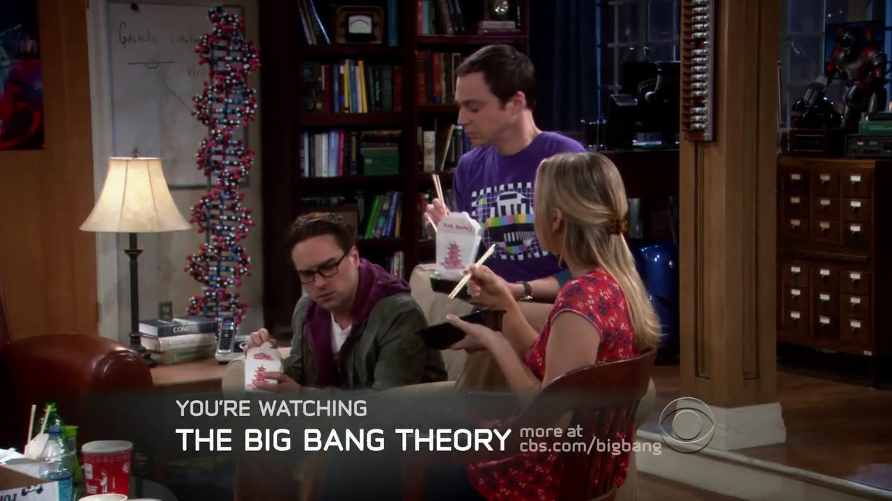 Charmed-Online-dot-net_TBBT-2x16-0411.jpg