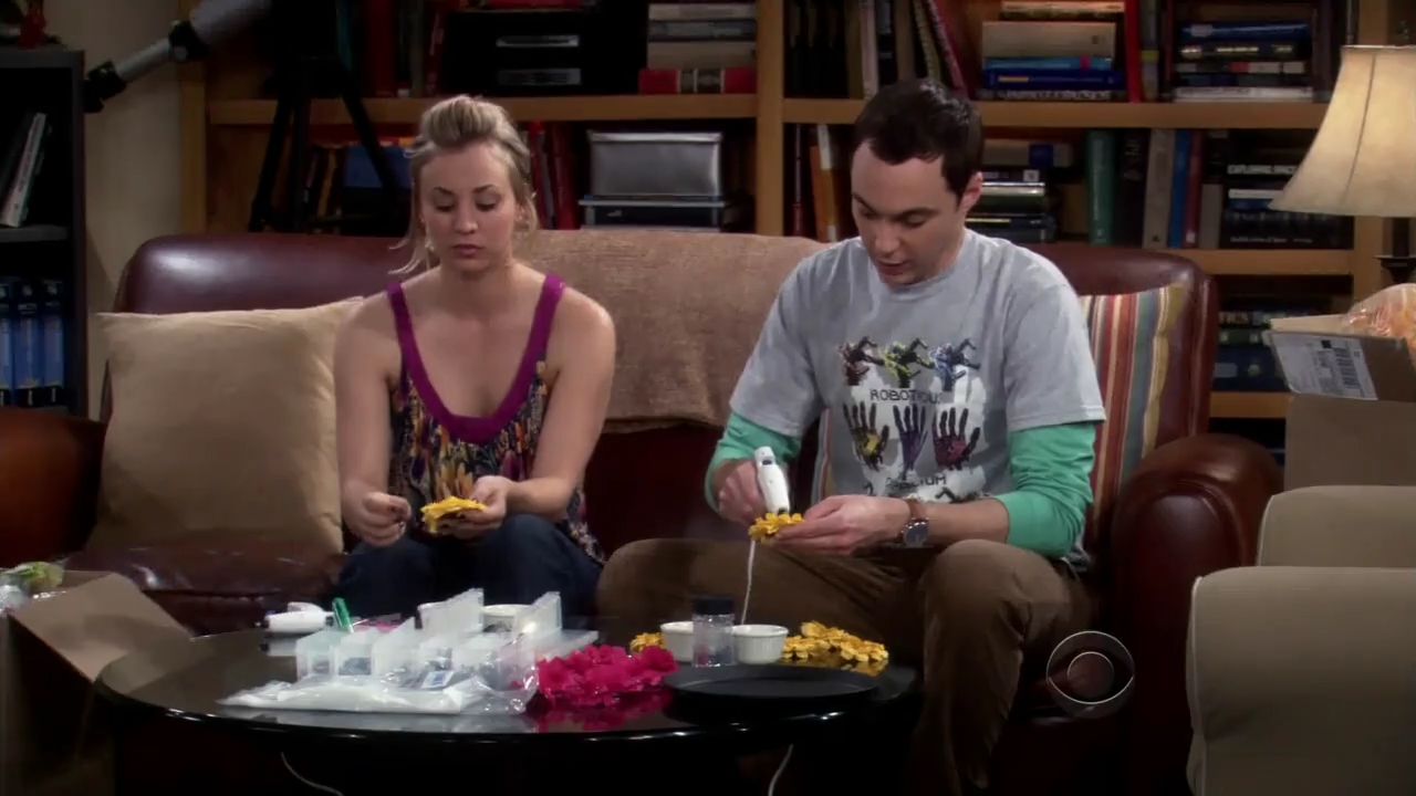 Charmed-Online-dot-net_TBBT-2x180785.jpg