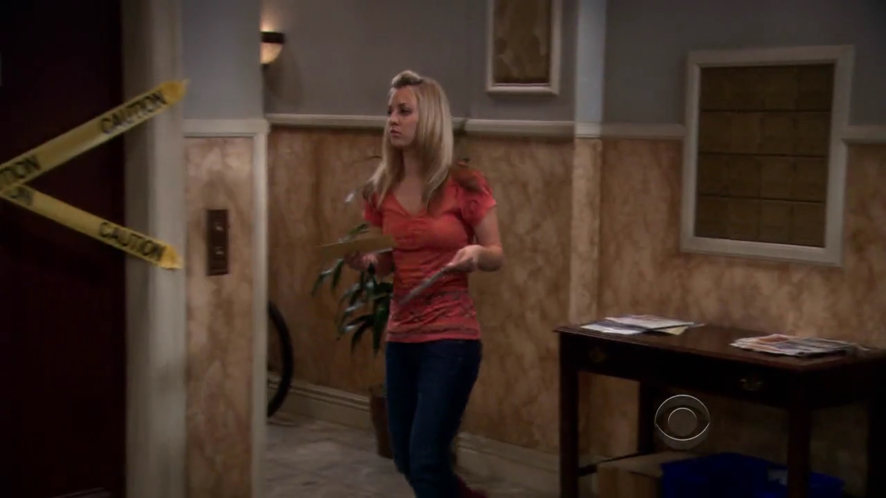 Charmed-Online-dot-net_TBBT-2x21-0243.jpg