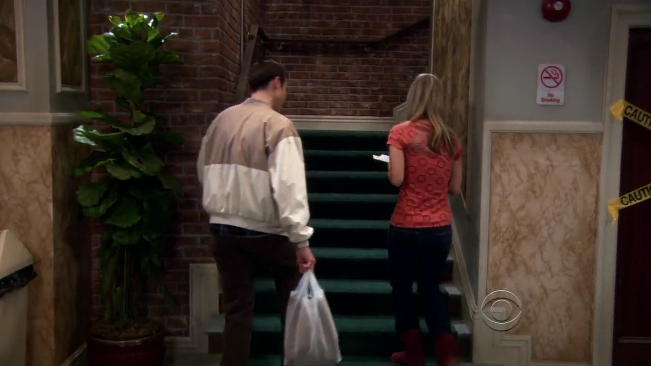 Charmed-Online-dot-net_TBBT-2x21-0248.jpg