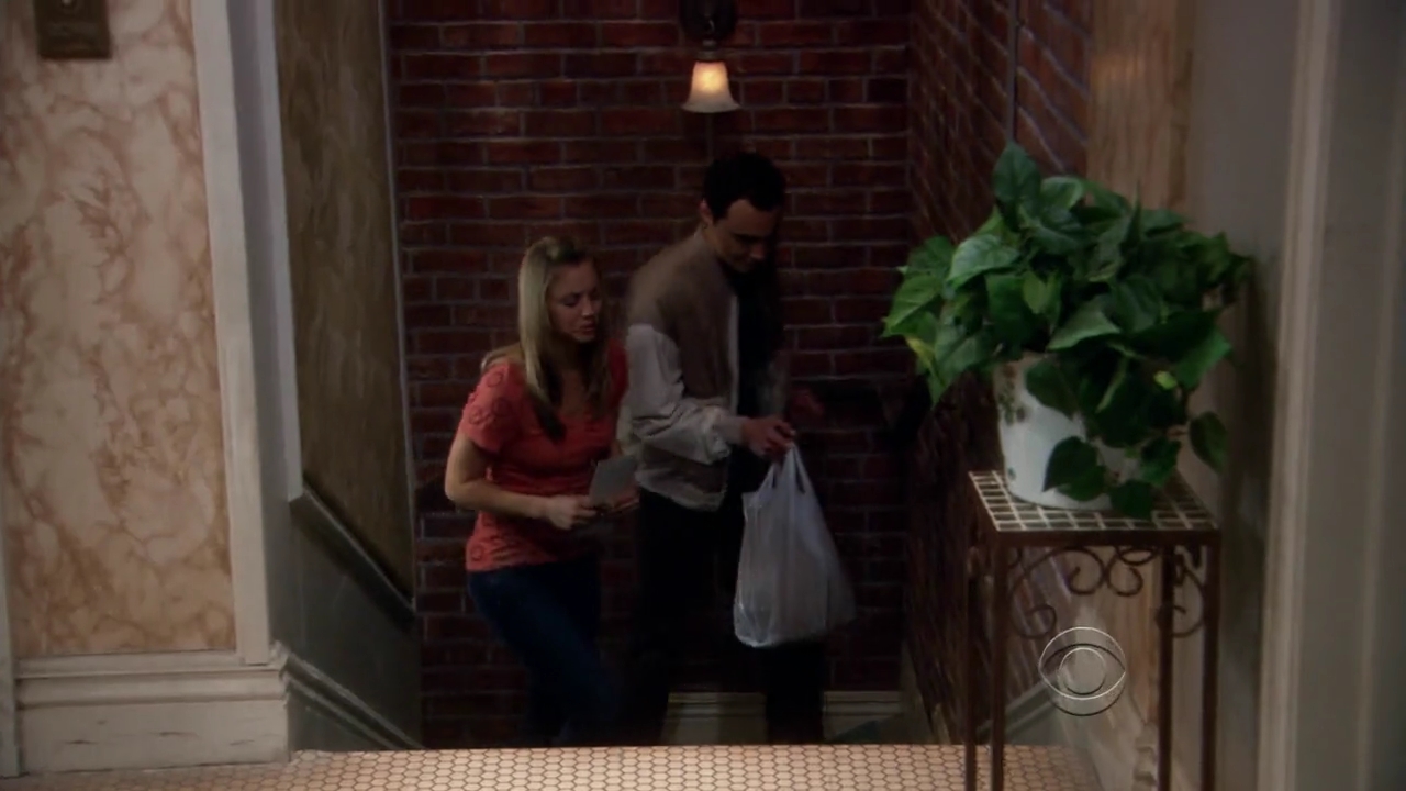 Charmed-Online-dot-net_TBBT-2x21-0276.jpg