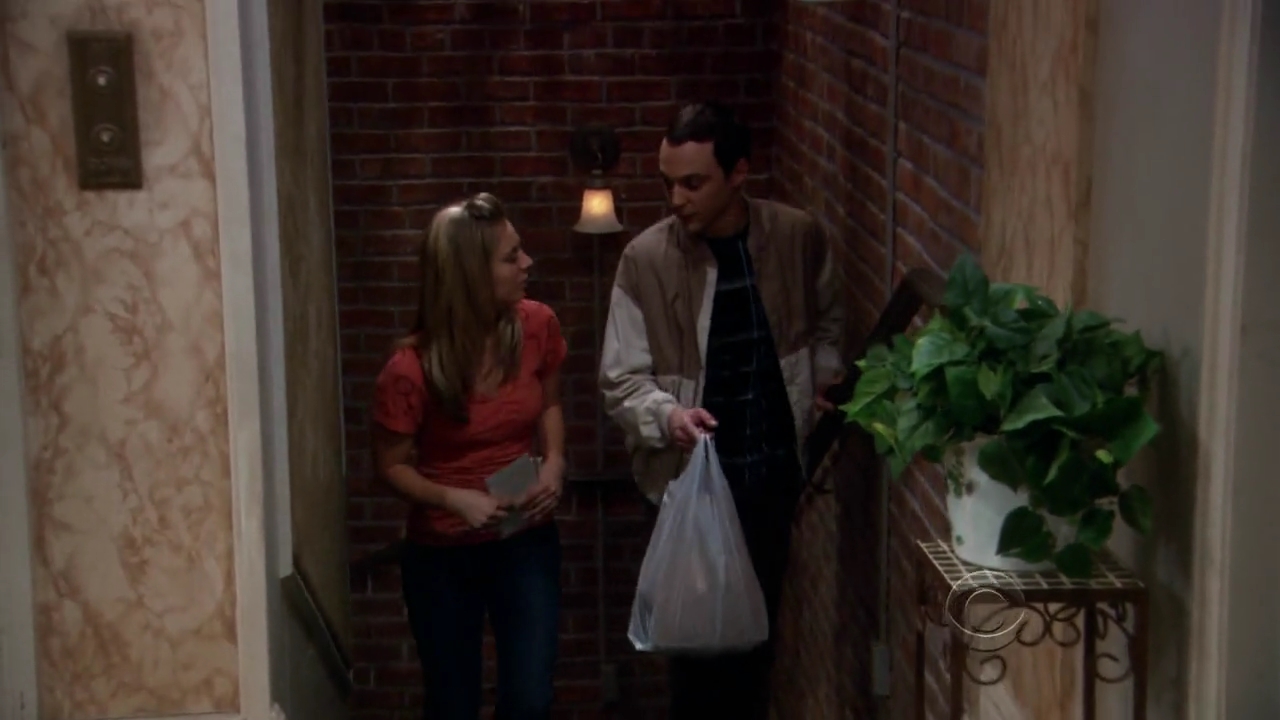 Charmed-Online-dot-net_TBBT-2x21-0278.jpg