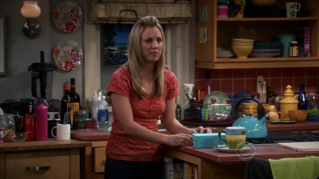 Charmed-Online-dot-net_TBBT-2x21-0460.jpg