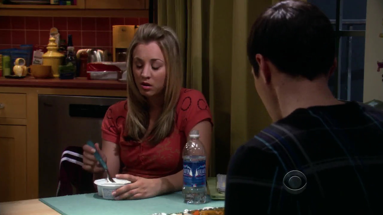Charmed-Online-dot-net_TBBT-2x21-0728.jpg