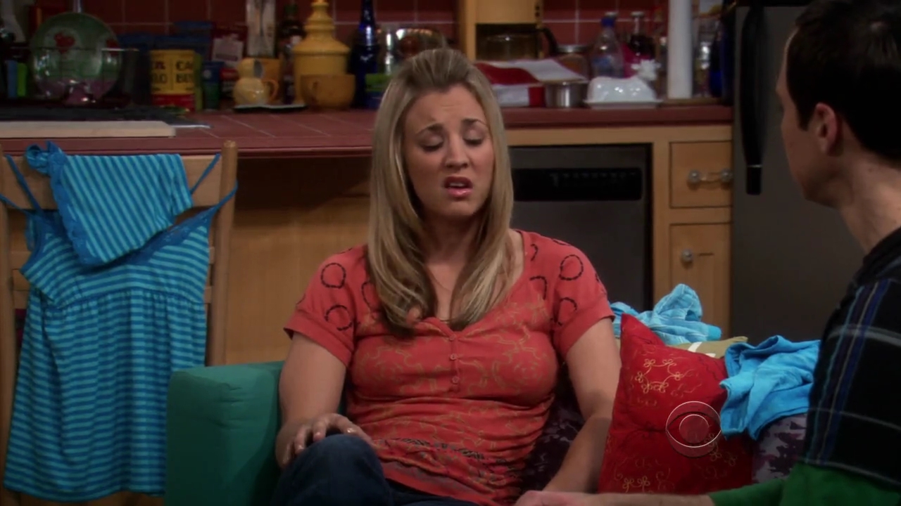 Charmed-Online-dot-net_TBBT-2x21-0814.jpg