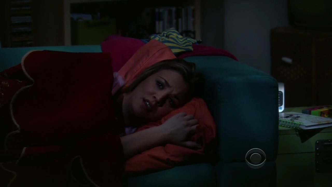 Charmed-Online-dot-net_TBBT-2x21-1014.jpg