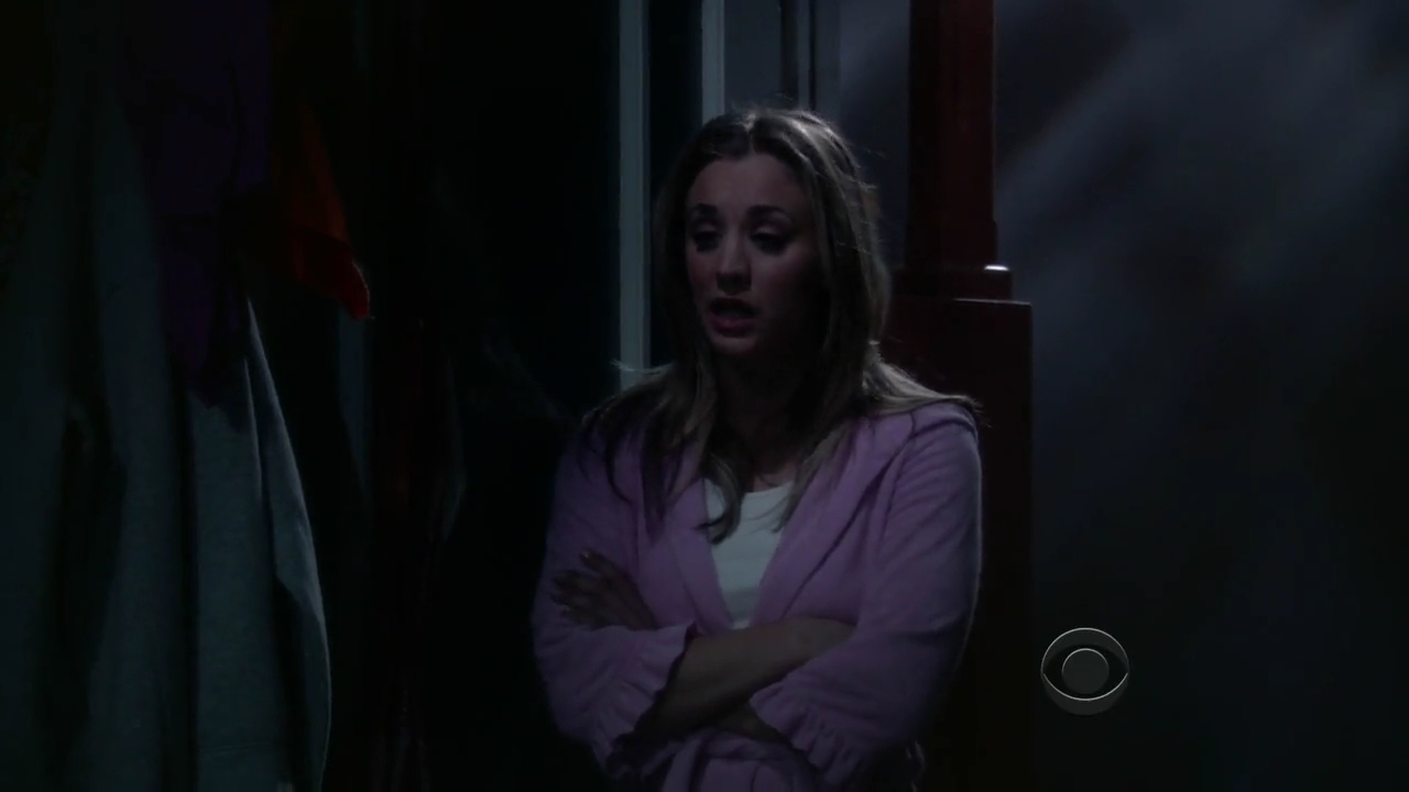 Charmed-Online-dot-net_TBBT-2x21-1043.jpg