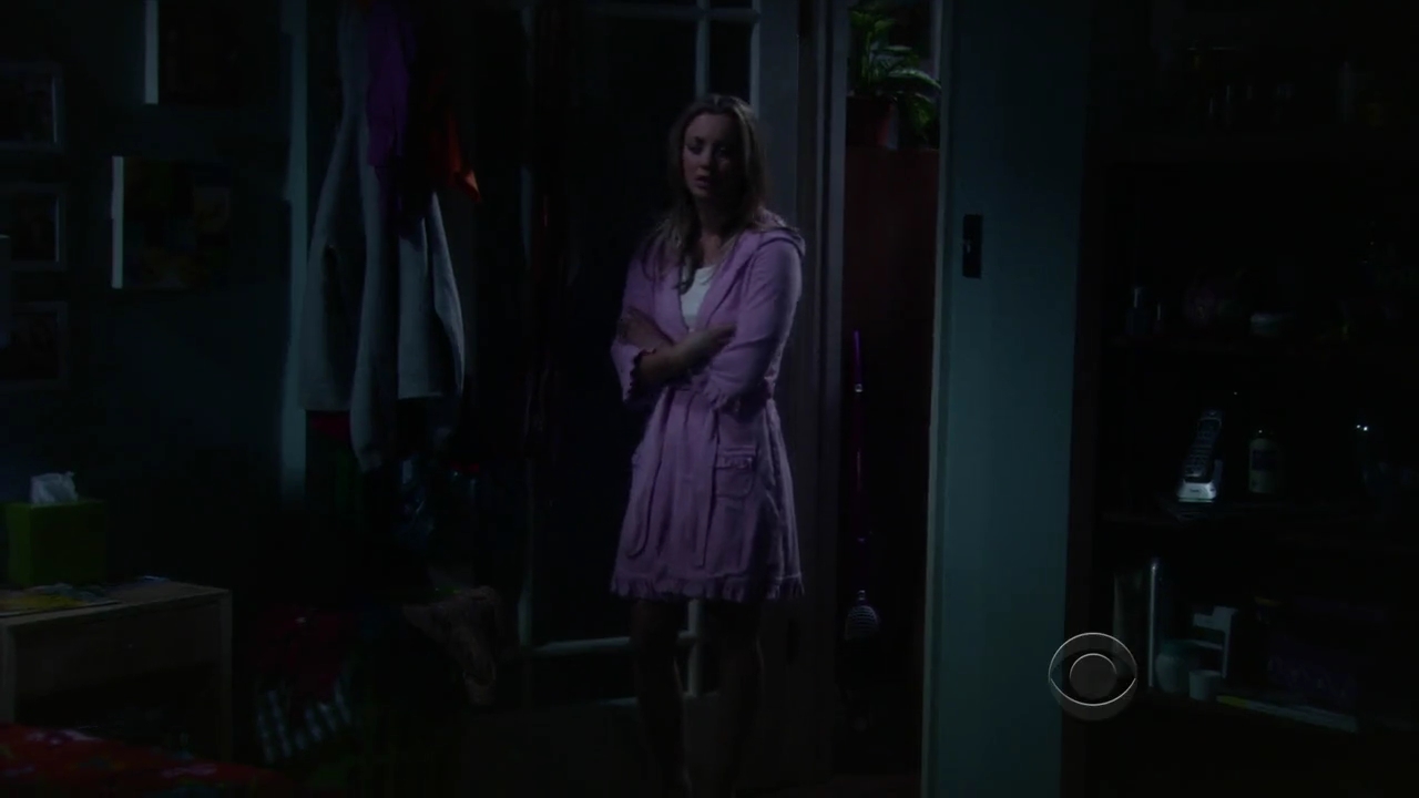 Charmed-Online-dot-net_TBBT-2x21-1049.jpg