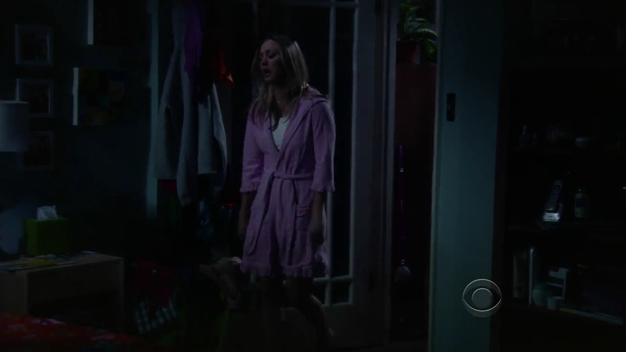 Charmed-Online-dot-net_TBBT-2x21-1050.jpg