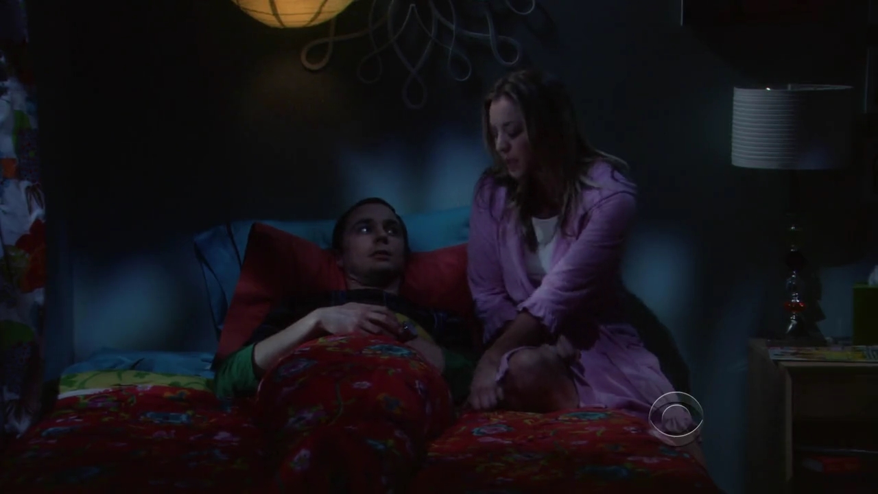 Charmed-Online-dot-net_TBBT-2x21-1071.jpg