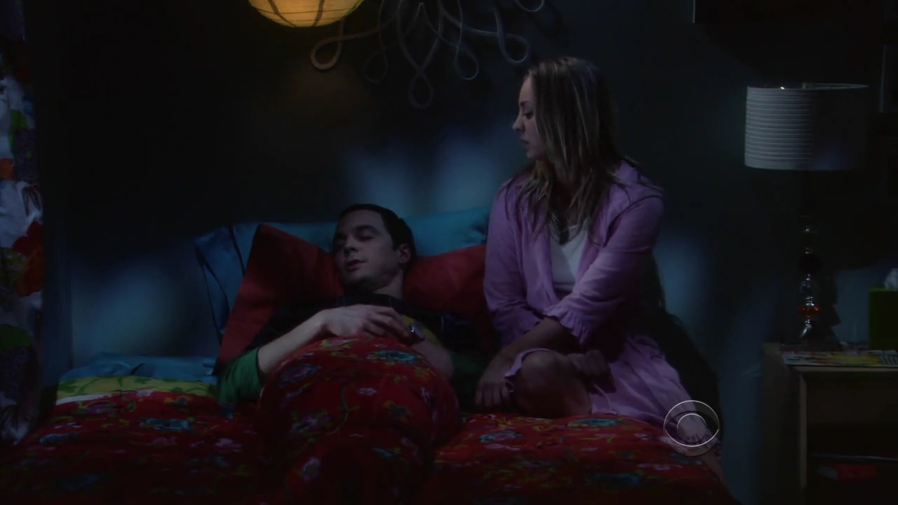 Charmed-Online-dot-net_TBBT-2x21-1091.jpg