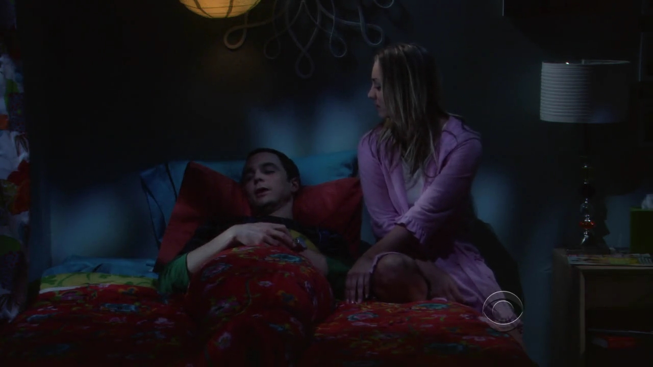 Charmed-Online-dot-net_TBBT-2x21-1106.jpg