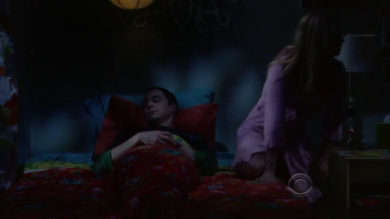 Charmed-Online-dot-net_TBBT-2x21-1112.jpg