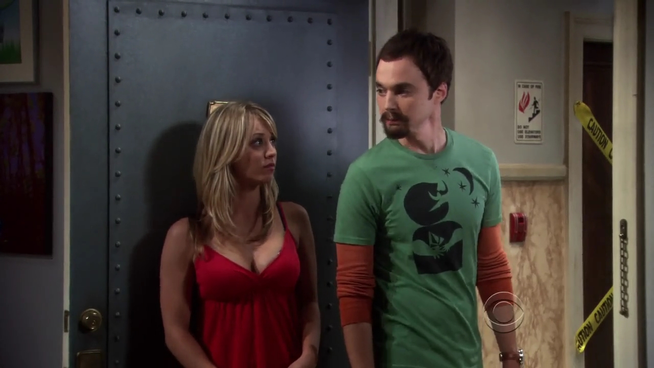 Charmed-Online-dot-net_TBBT-3x01-0249.jpg