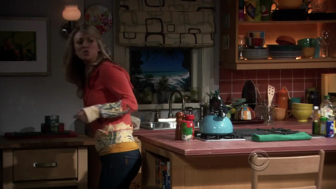 Charmed-Online-dot-net_TBBT-3x02-0127.jpg