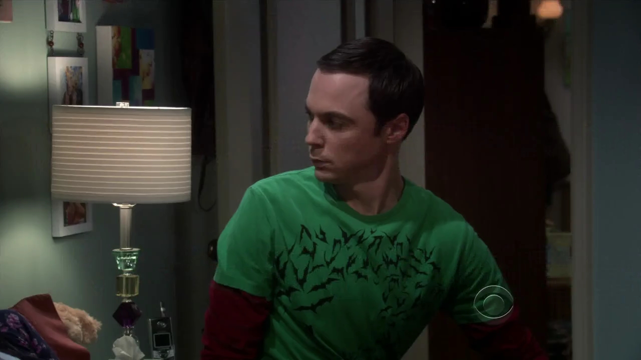Charmed-Online-dot-net_TBBT3x08-0843.jpg