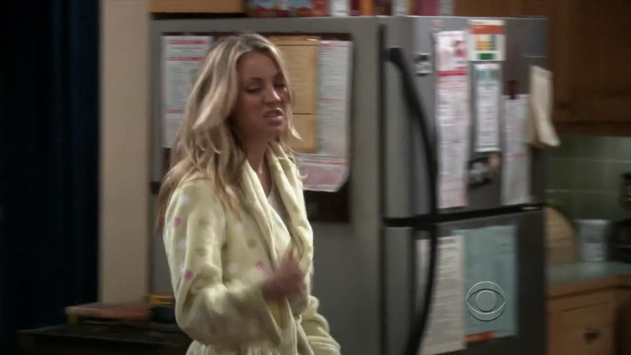 Charmed-Online-dot-net_TBBT3x14-0023.jpg