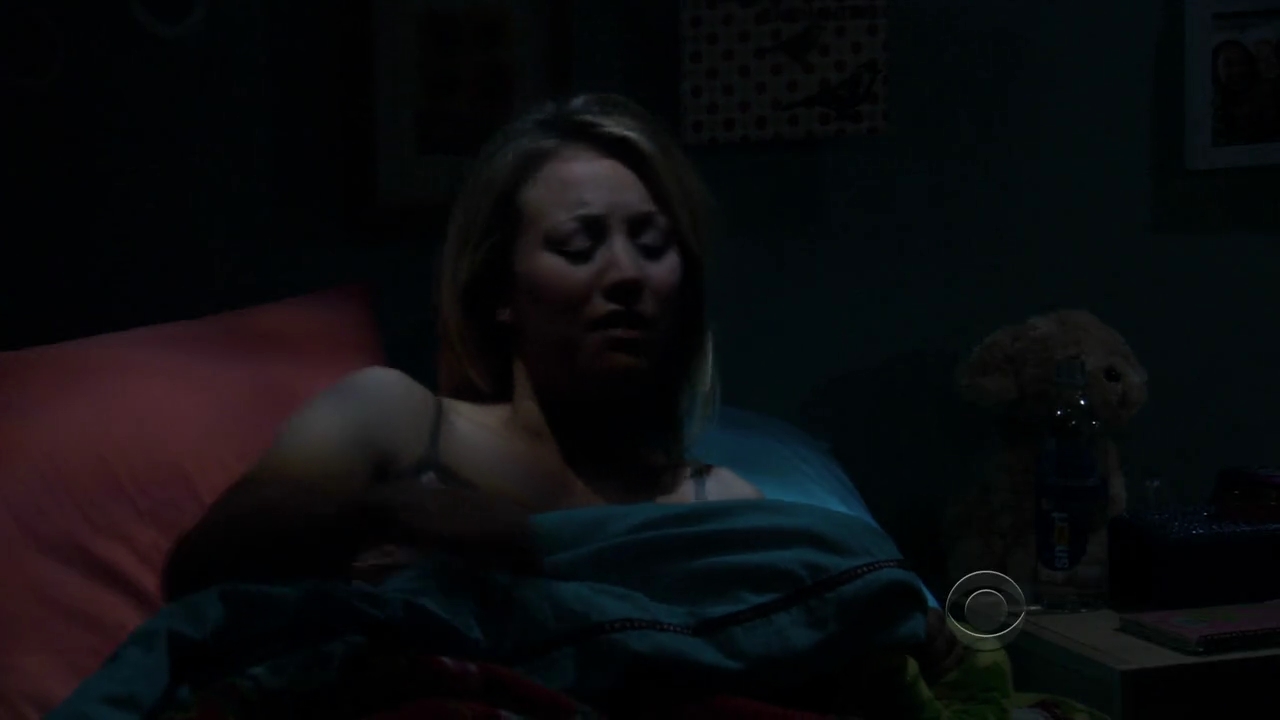 Charmed-Online-dot-net_TBBT3x14-0351.jpg