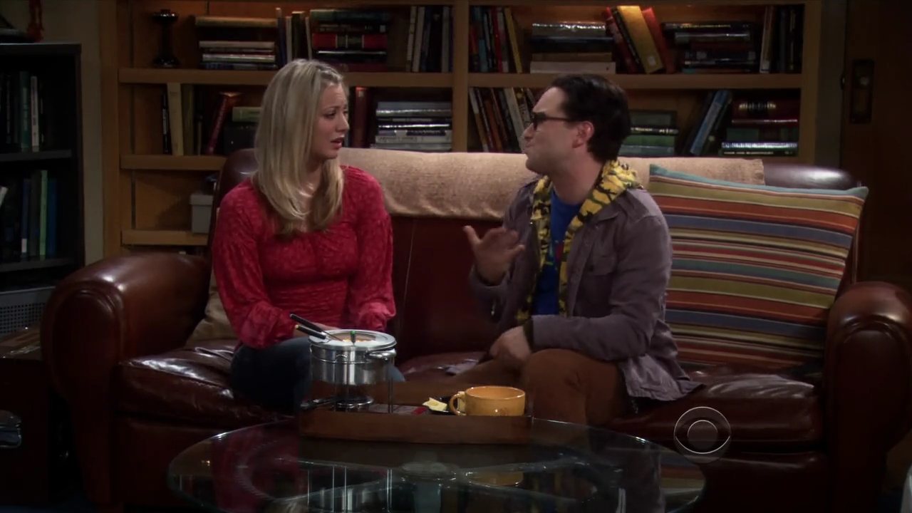 Charmed-Online-dot-net_TBBT3x15-0141.jpg