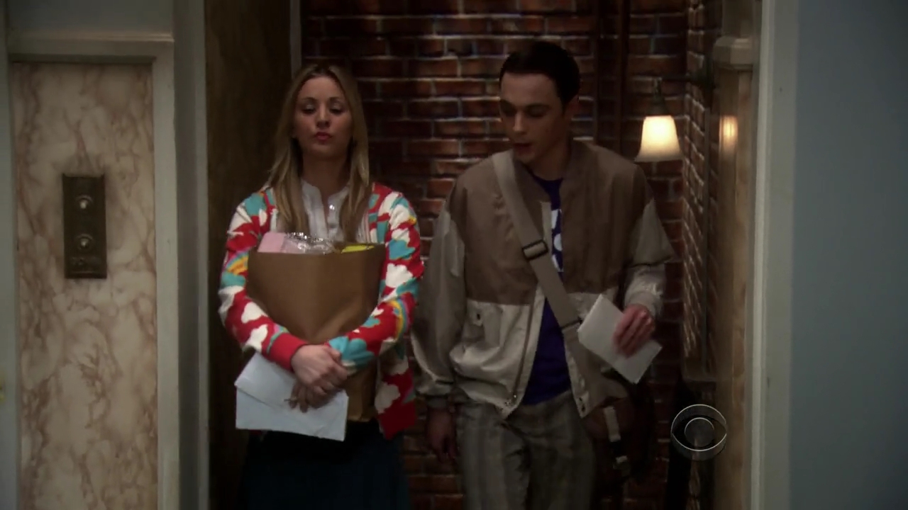 Charmed-Online-dot-net_TBBT3x20-0080.jpg