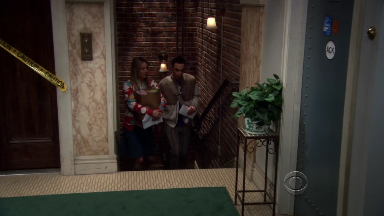 Charmed-Online-dot-net_TBBT3x20-0096.jpg