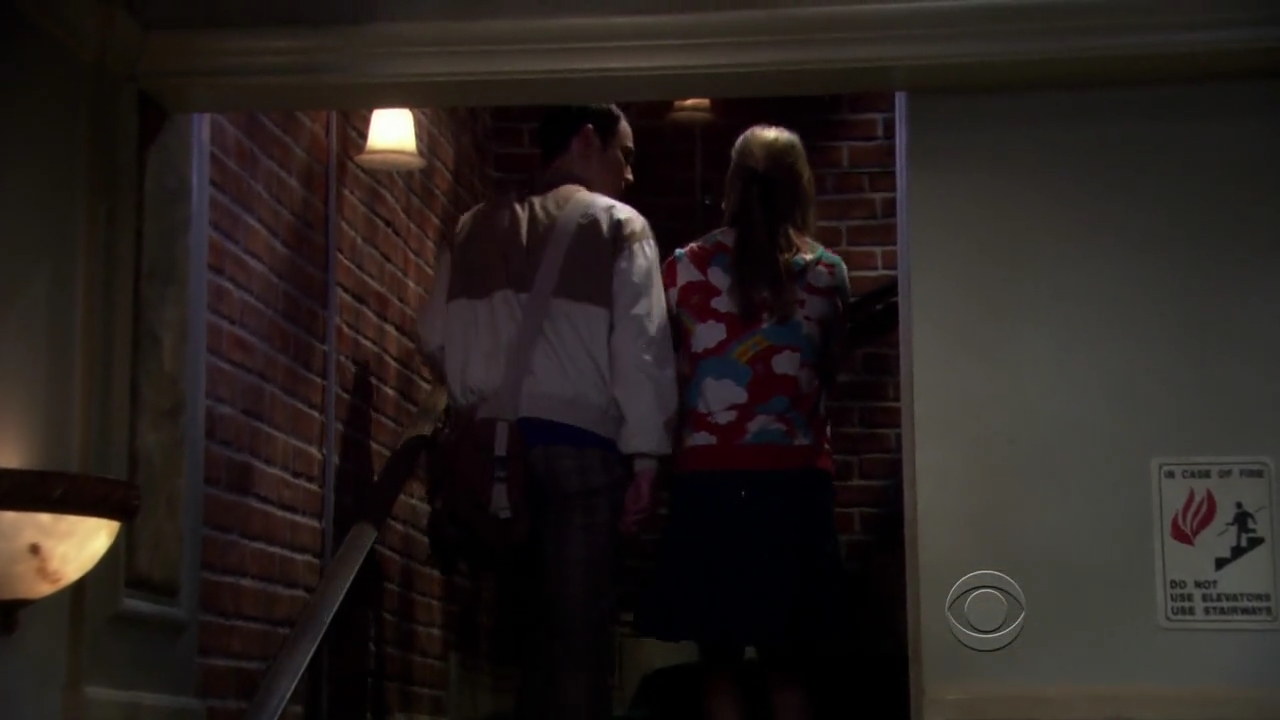 Charmed-Online-dot-net_TBBT3x20-0112.jpg