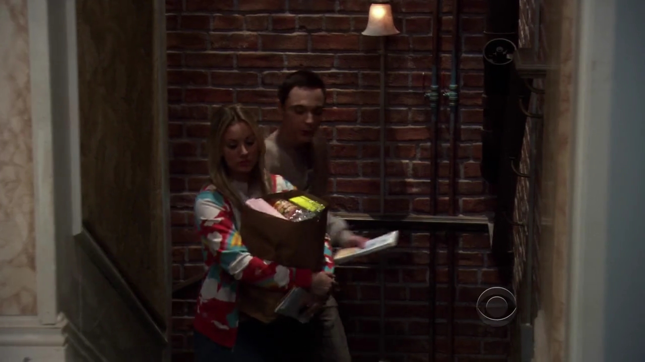 Charmed-Online-dot-net_TBBT3x20-0115.jpg