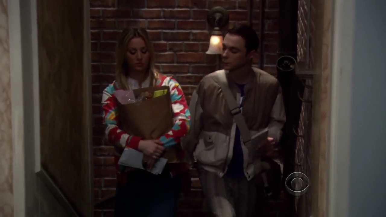 Charmed-Online-dot-net_TBBT3x20-0117.jpg