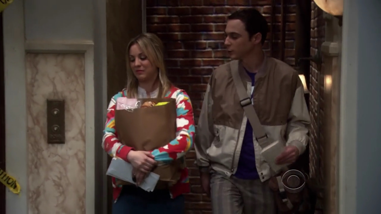 Charmed-Online-dot-net_TBBT3x20-0121.jpg