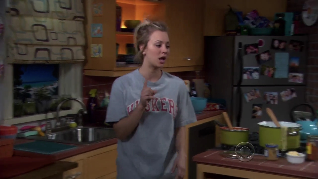Charmed-Online-dot-net_TBBT3x20-0215.jpg