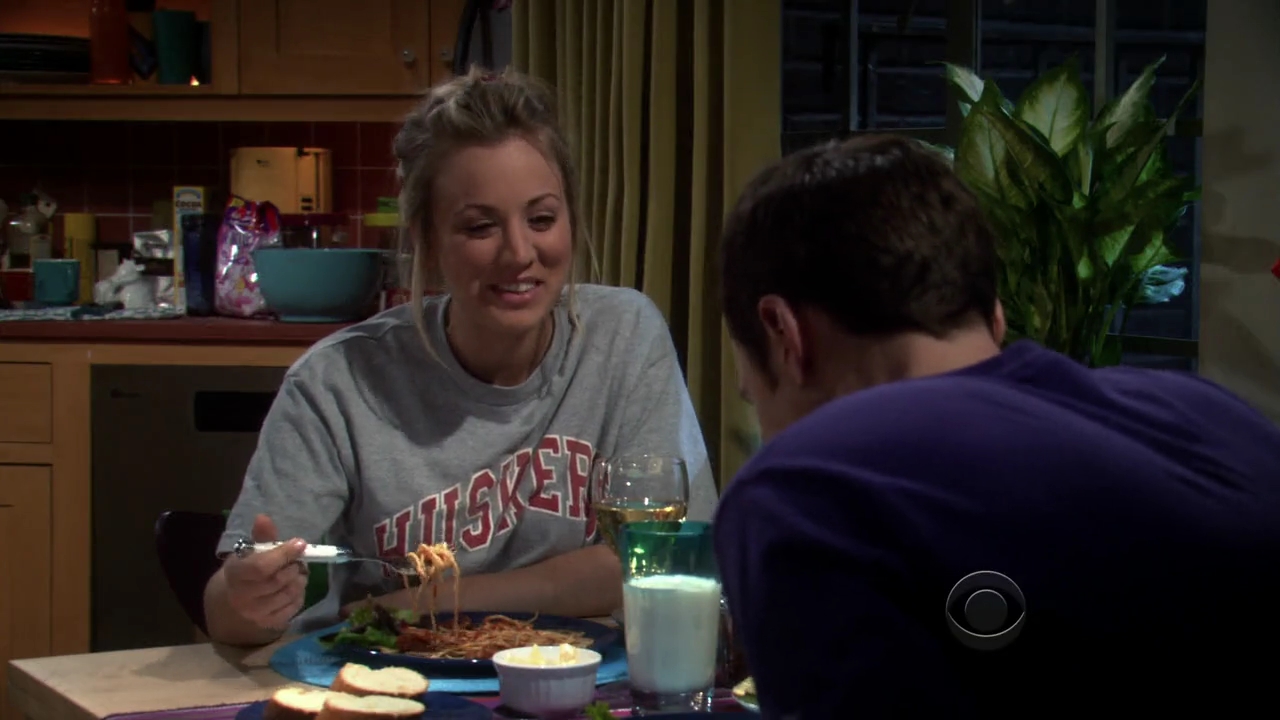 Charmed-Online-dot-net_TBBT3x20-0331.jpg