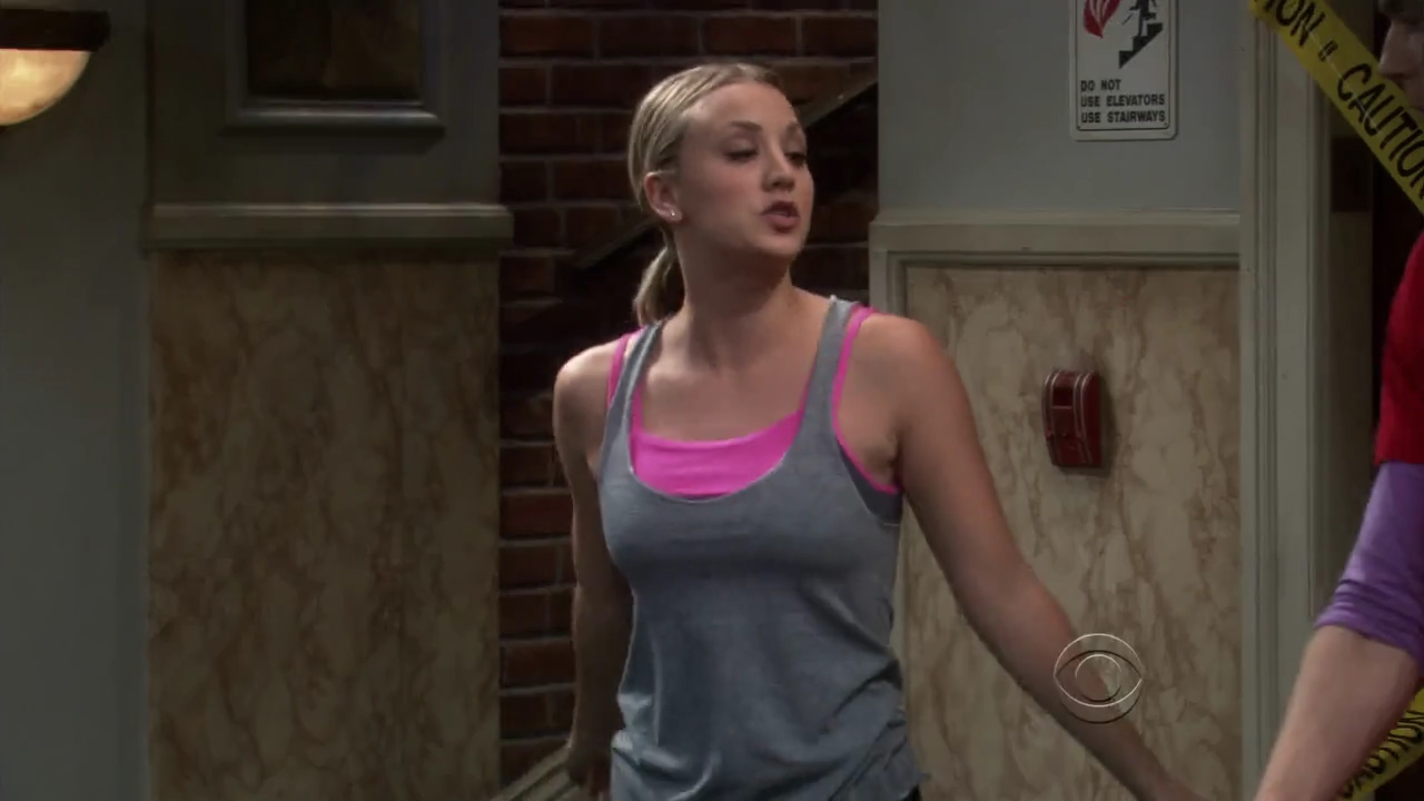 Charmed-Online-dot-net_TBBT4x02-0291.jpg