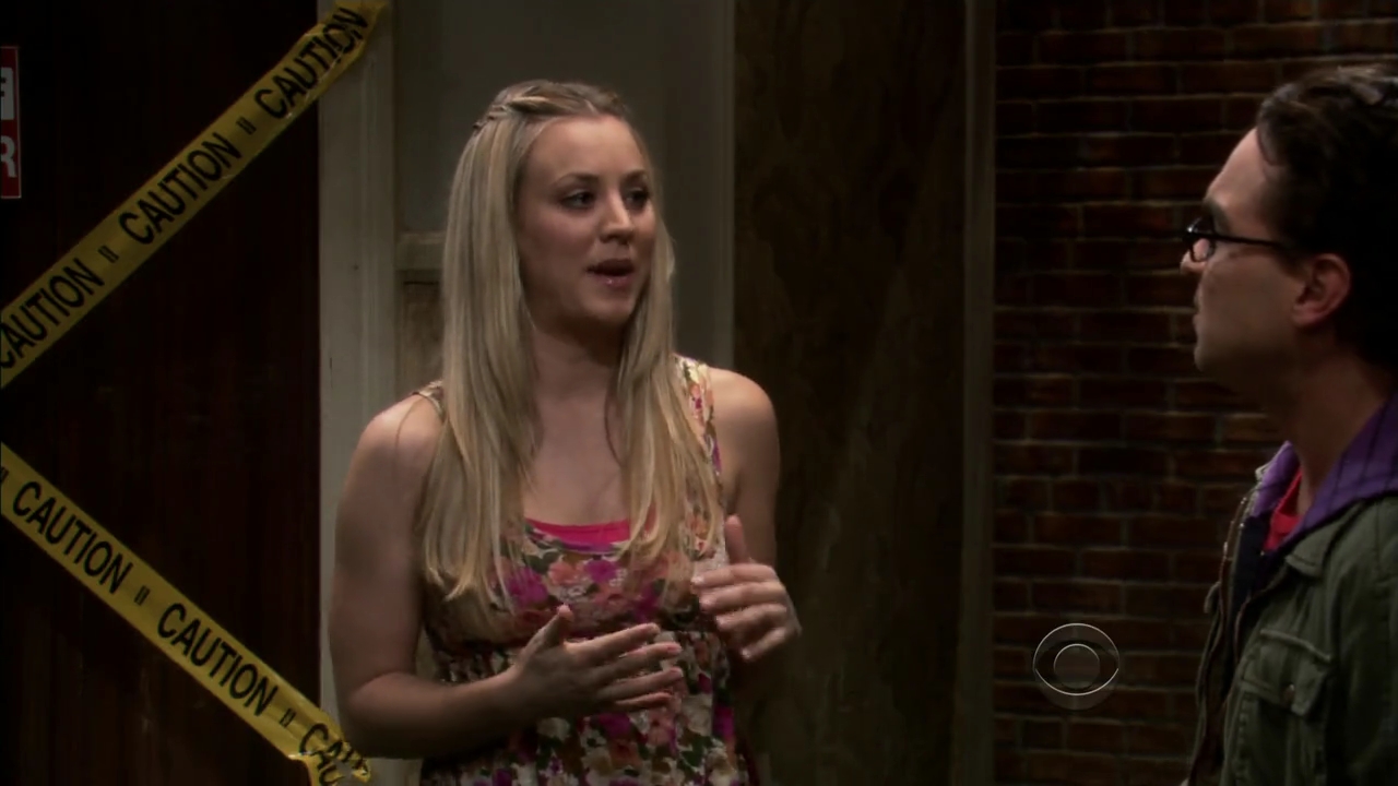 Charmed-Online-dot-net_TBBT4x09-0317.jpg