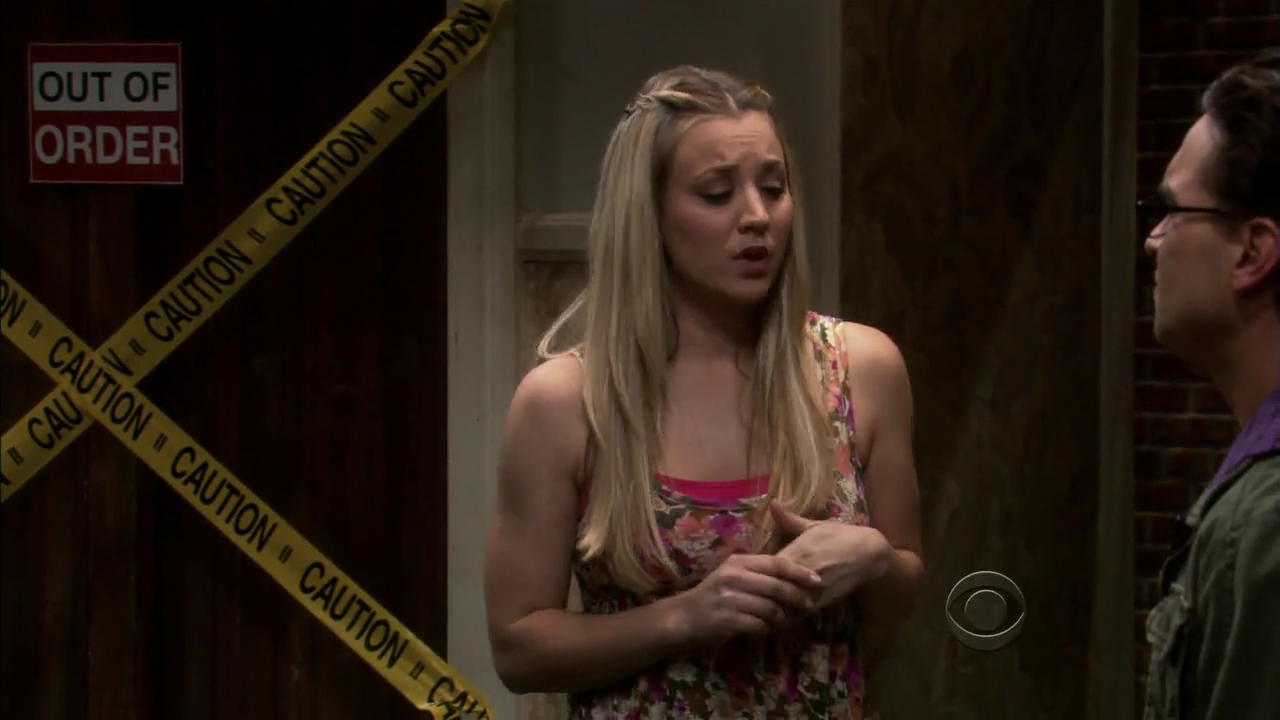 Charmed-Online-dot-net_TBBT4x09-0328.jpg