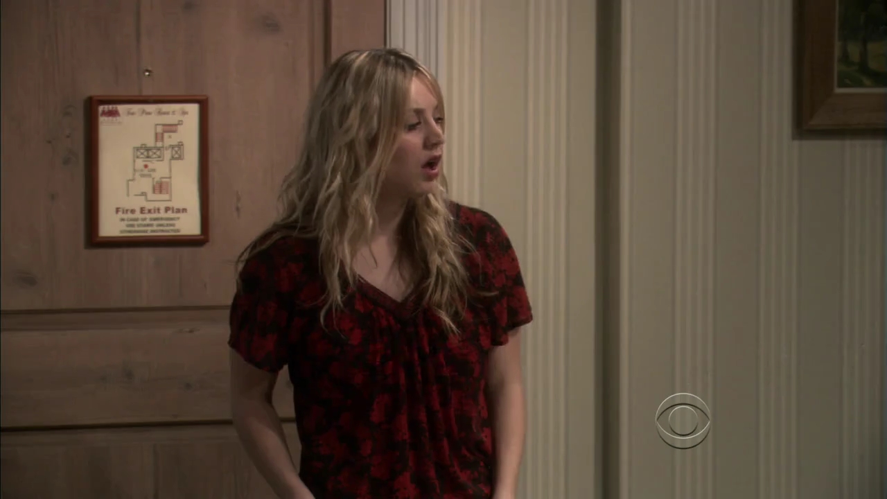 Charmed-Online-dot-net_TBBT4x13-0713.jpg
