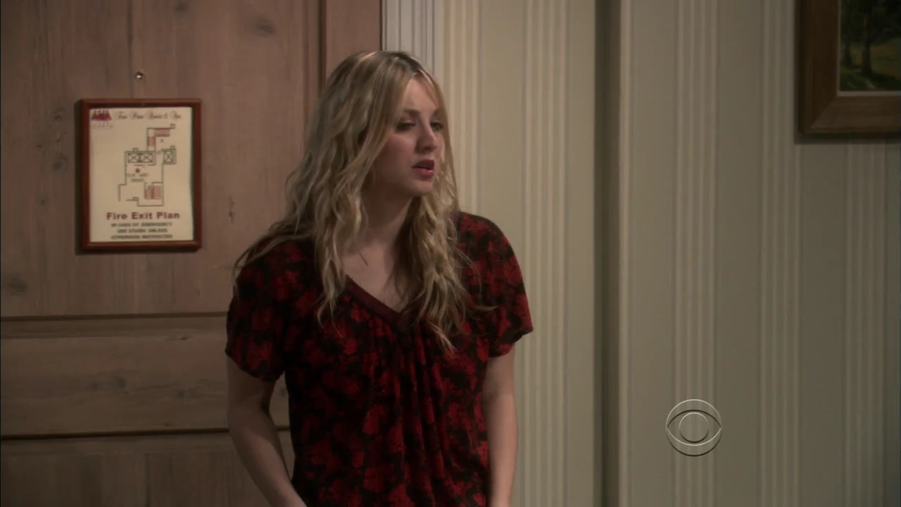 Charmed-Online-dot-net_TBBT4x13-0724.jpg