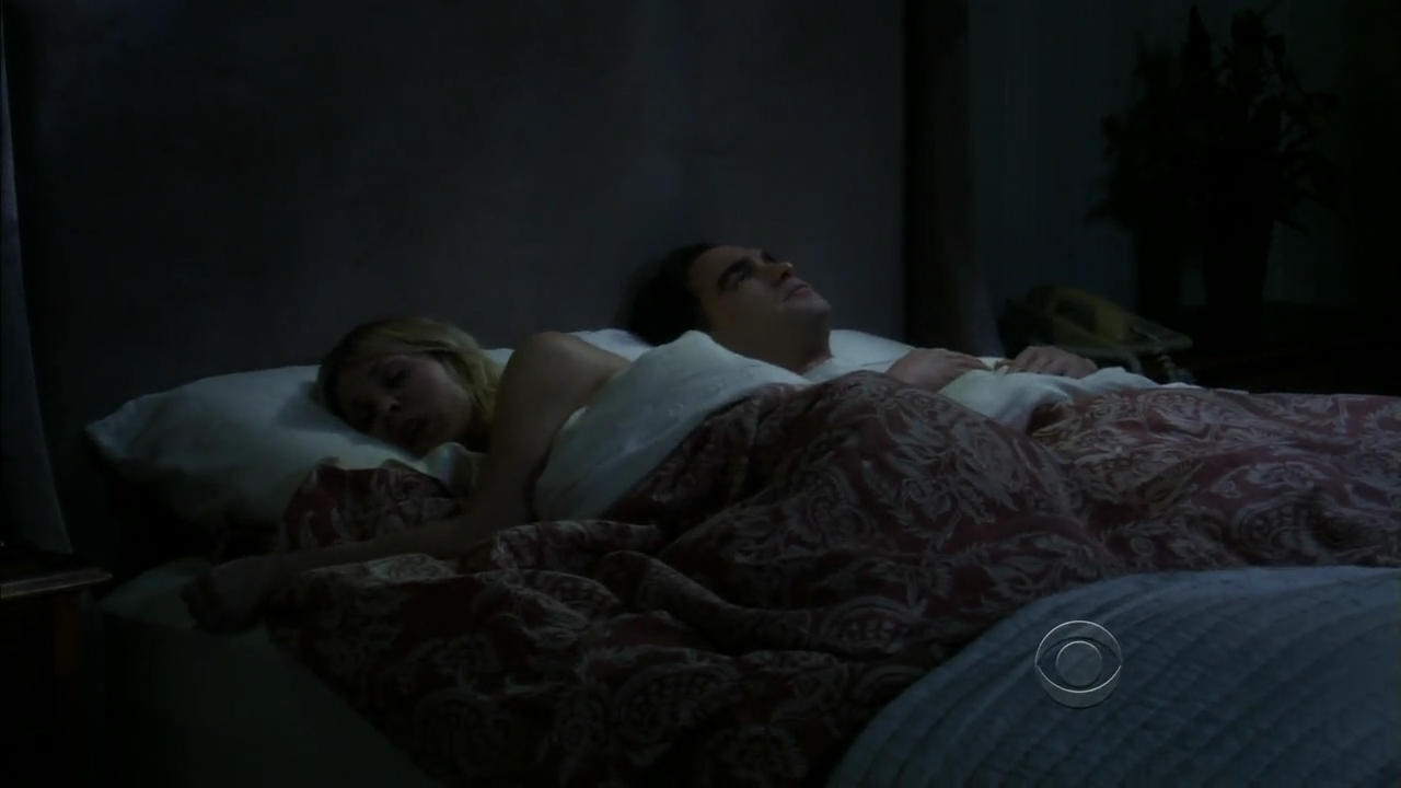 Charmed-Online-dot-net_TBBT4x13-0810.jpg